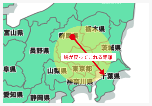 屋外での利用